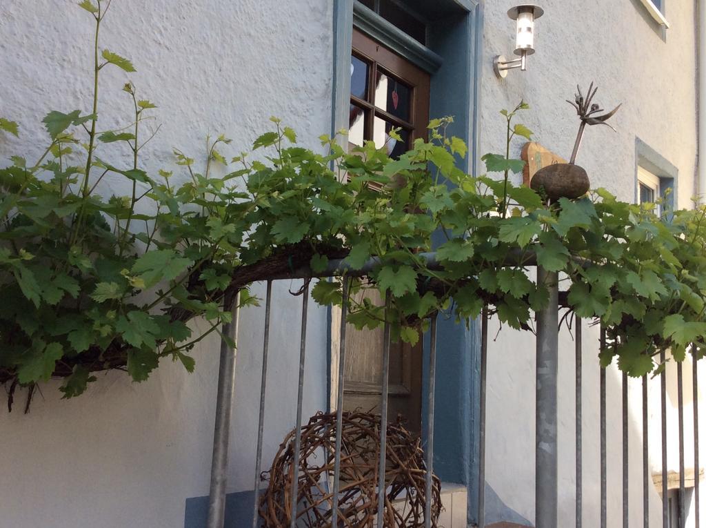 Winzerhaeuschen, Weingut Th. Mueller Lejlighed Reil Eksteriør billede